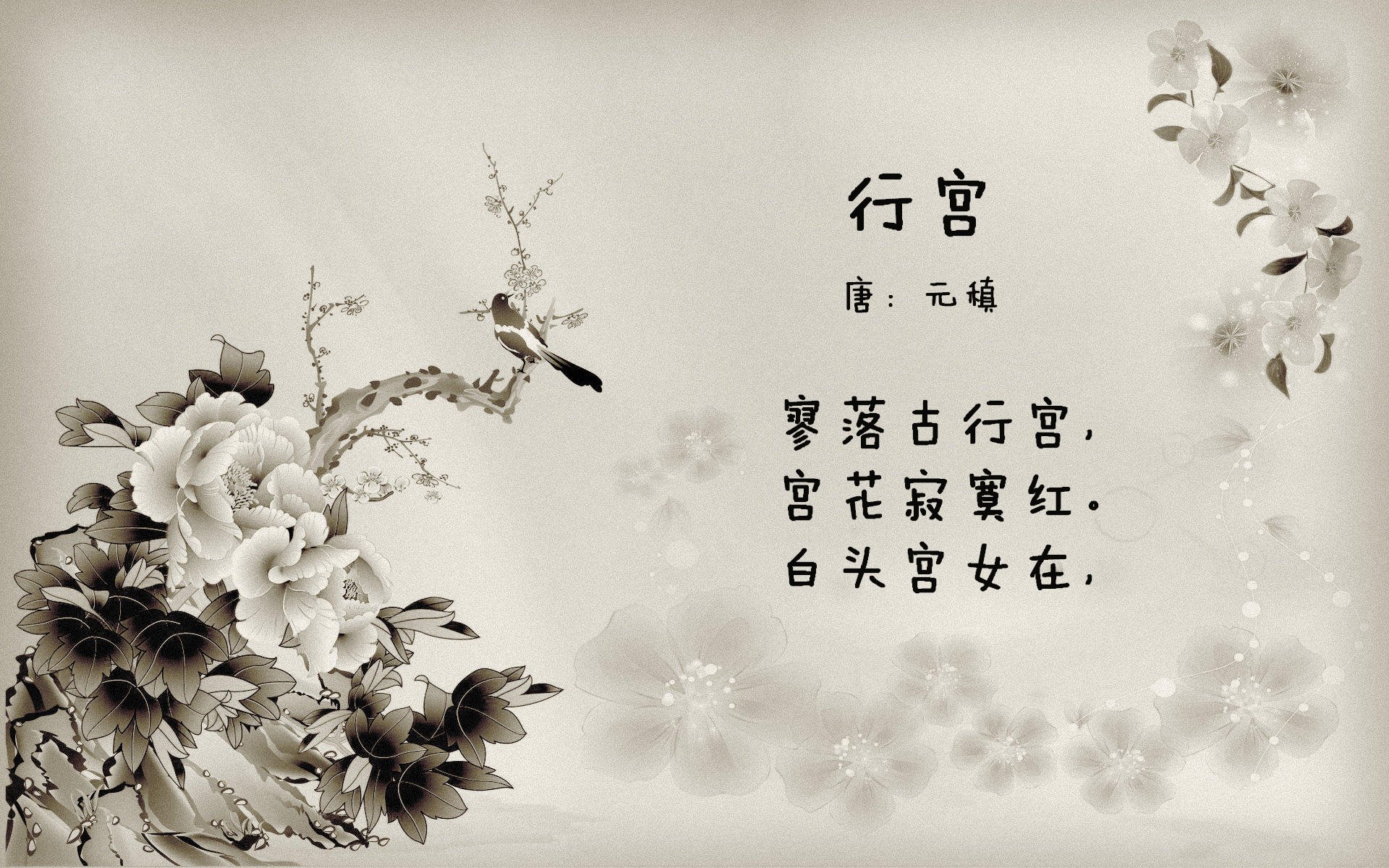 TL选手数据表现稳中有升,tyloo选手