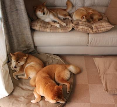 凭实力谱写胜利之歌,国际比赛中砥砺奋进取胜,比赛的胜利者