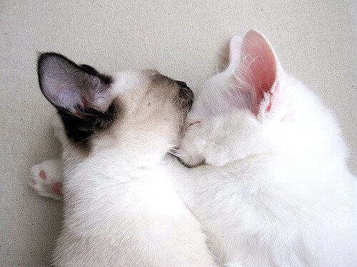 爱游戏内容中心-国足心理素质训练持续优化，比赛更稳定，国足精神