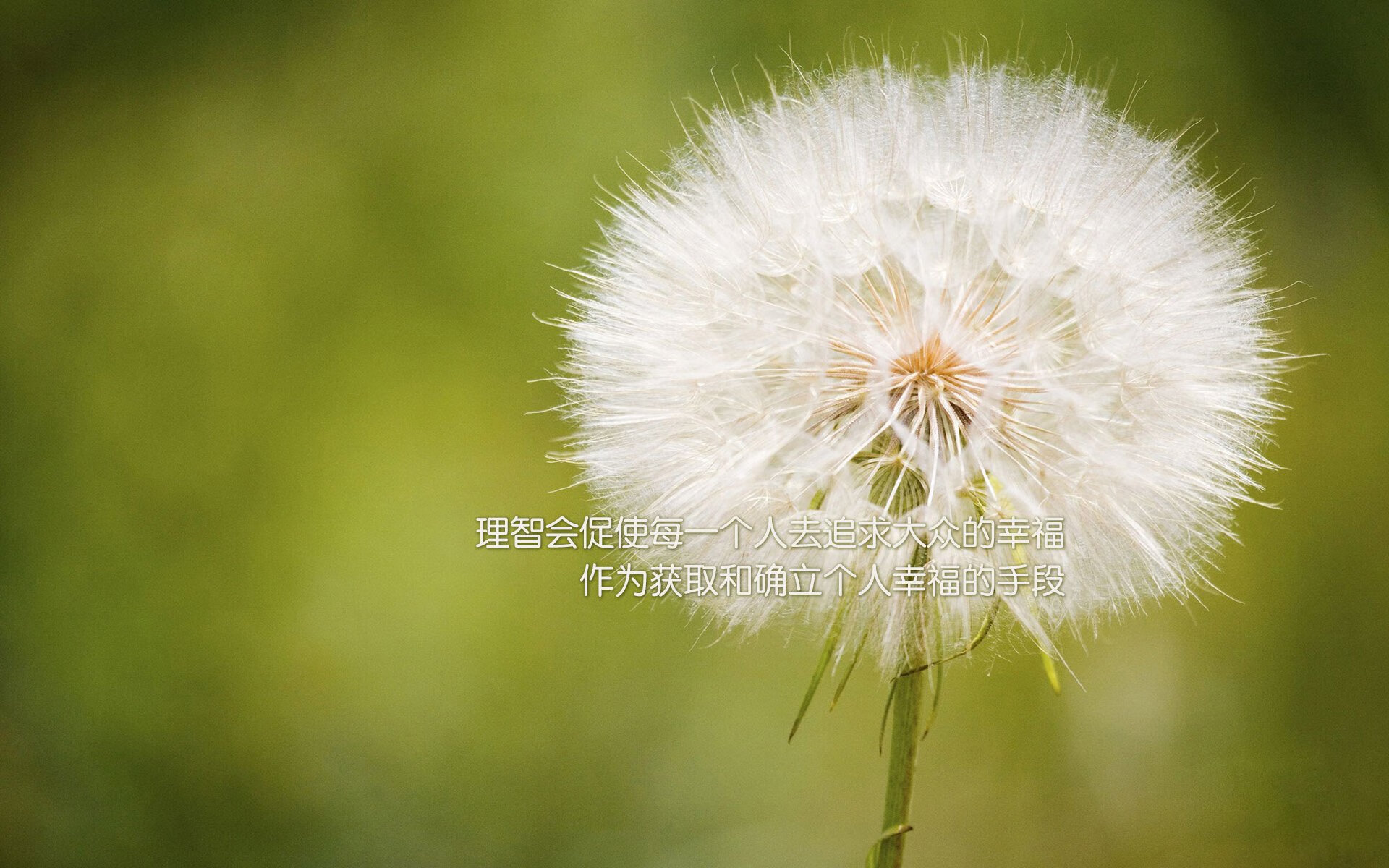 尤文图斯球员克里斯蒂亚诺·罗纳尔多被评为最有价值球员,尤文图斯的克罗地亚前锋