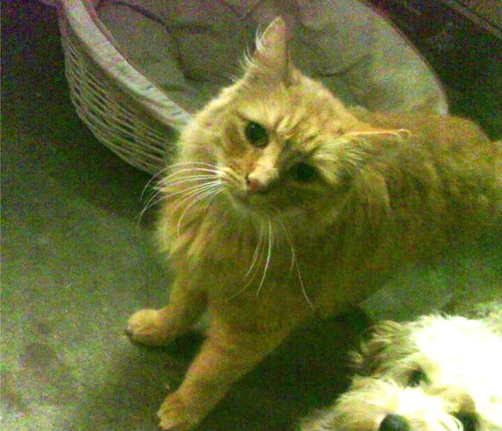 爱游戏智能体验-广州富力迎战深圳佳兆业，强弱实力将决定胜负！，广州富力vs深圳佳兆业