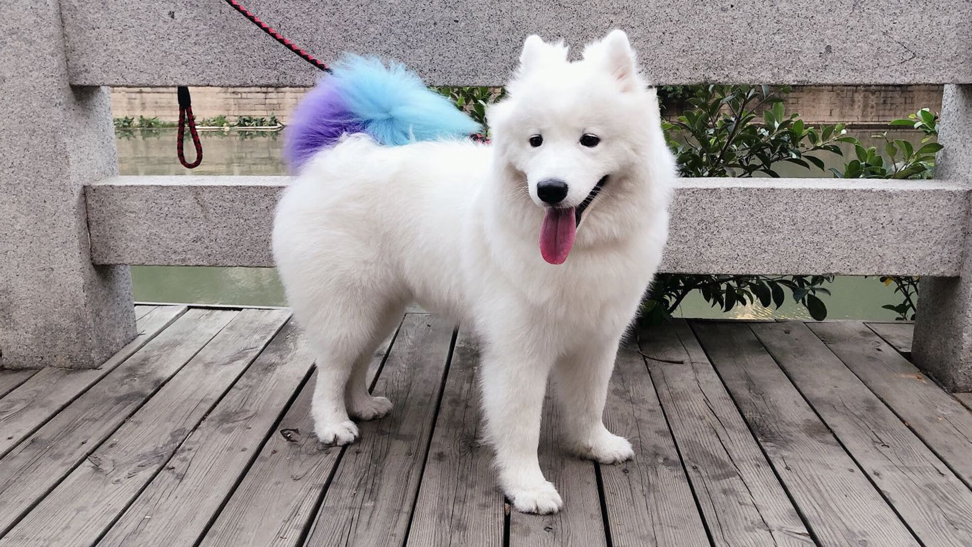 青少年体育锻炼动机影响因素分析，青少年锻炼对运动系统的影响