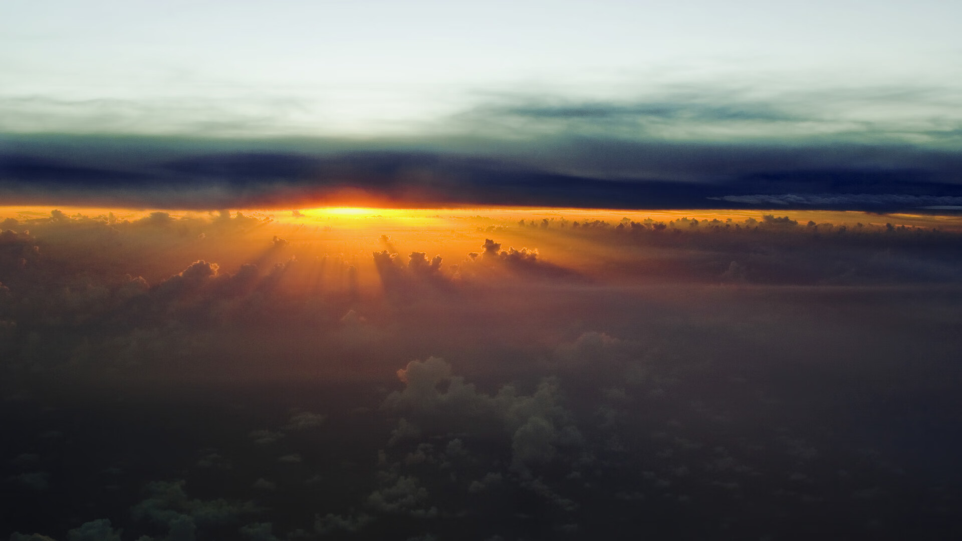 高校运动员营养补充及效果监测研究,运动员营养学