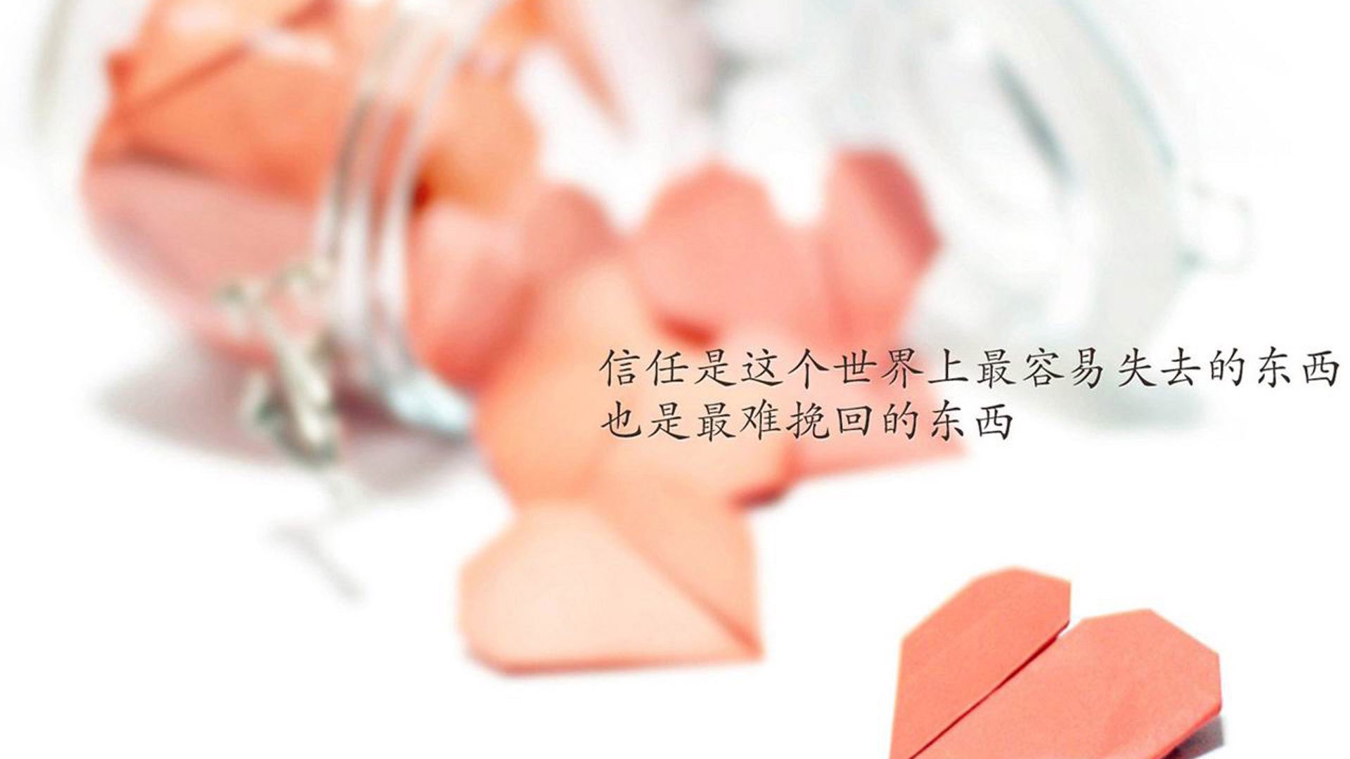 “2025世界游泳锦标赛:泳池上的速度大战与优雅演绎”