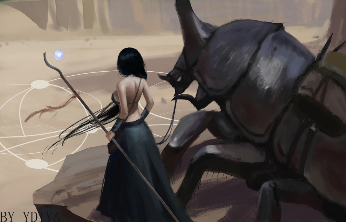 “东桃花岛赛场:缆绳滑水运动突破极限”