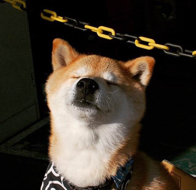 爱游戏游戏平台-中国羽毛球队启用年轻阵容锻炼新人，中国青年羽毛球队