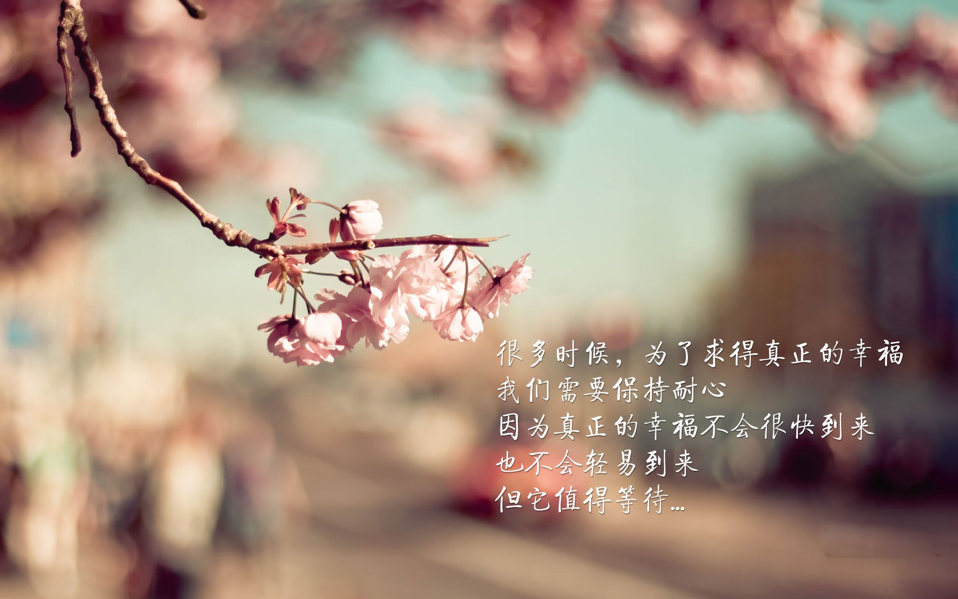 五大联赛奖金制度对球队竞争性的促进角色，五大联赛收益