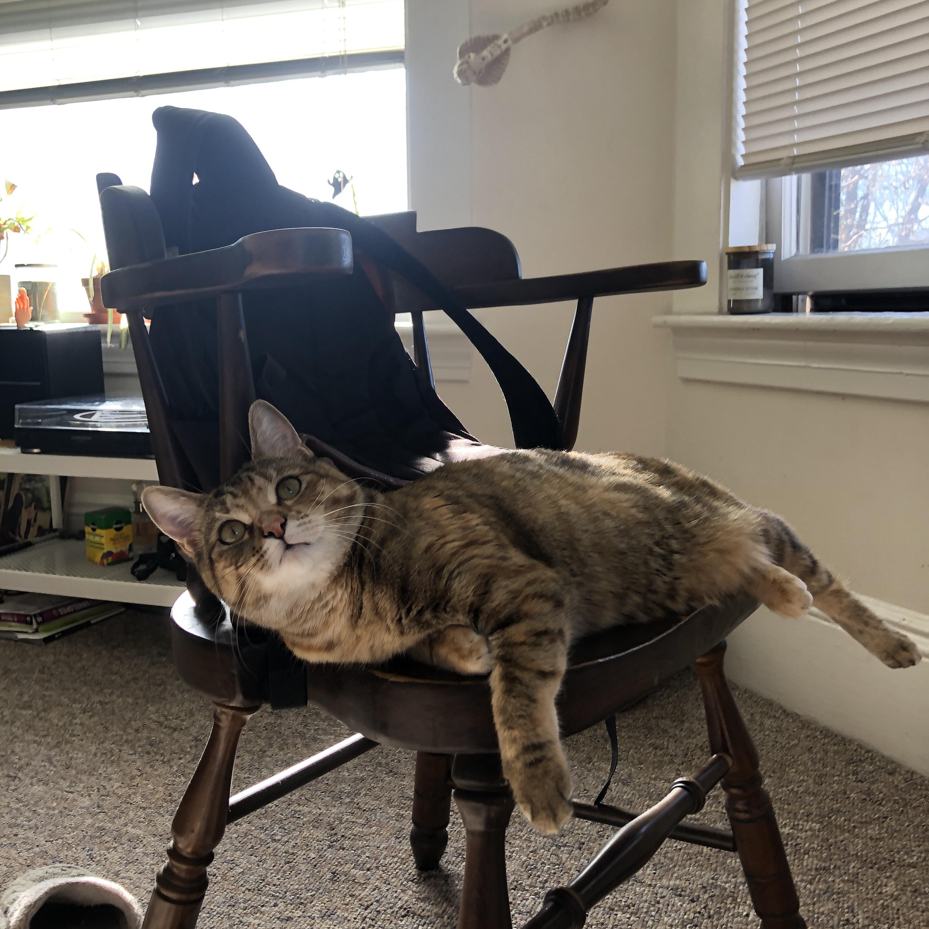 体育纪录片聚焦退役运动员创业经历,退役运动员现状