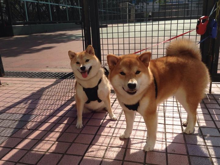 国际热身赛中国足球爆冷 球员状态需调整,国足敲定热身赛对手