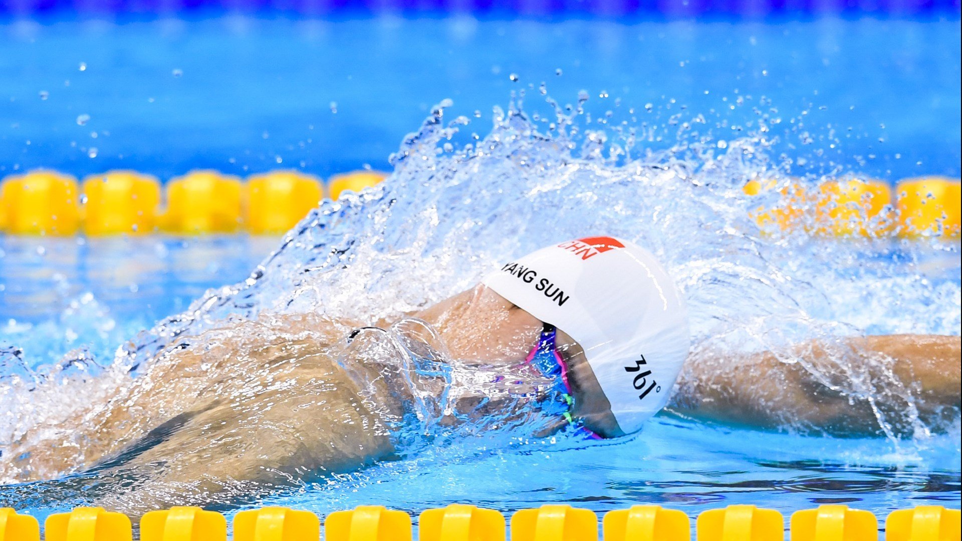 伊朗马术协会举办青少年马术交流活动，促进国际友谊。，伊朗马种