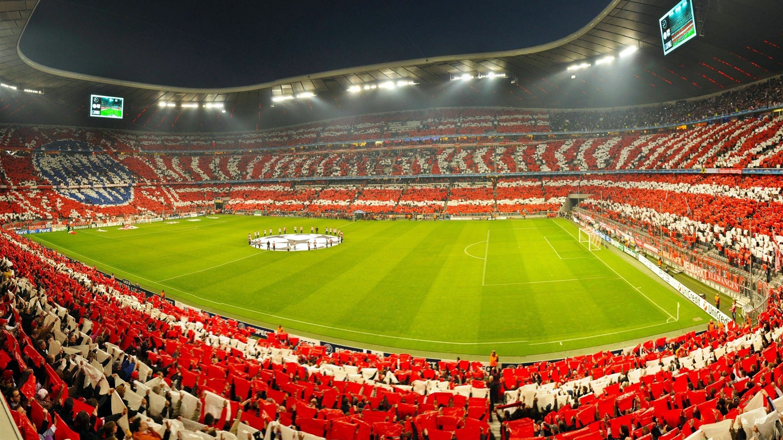 公牛举办“球员创业大赛”,激发创新活力,公牛 球队