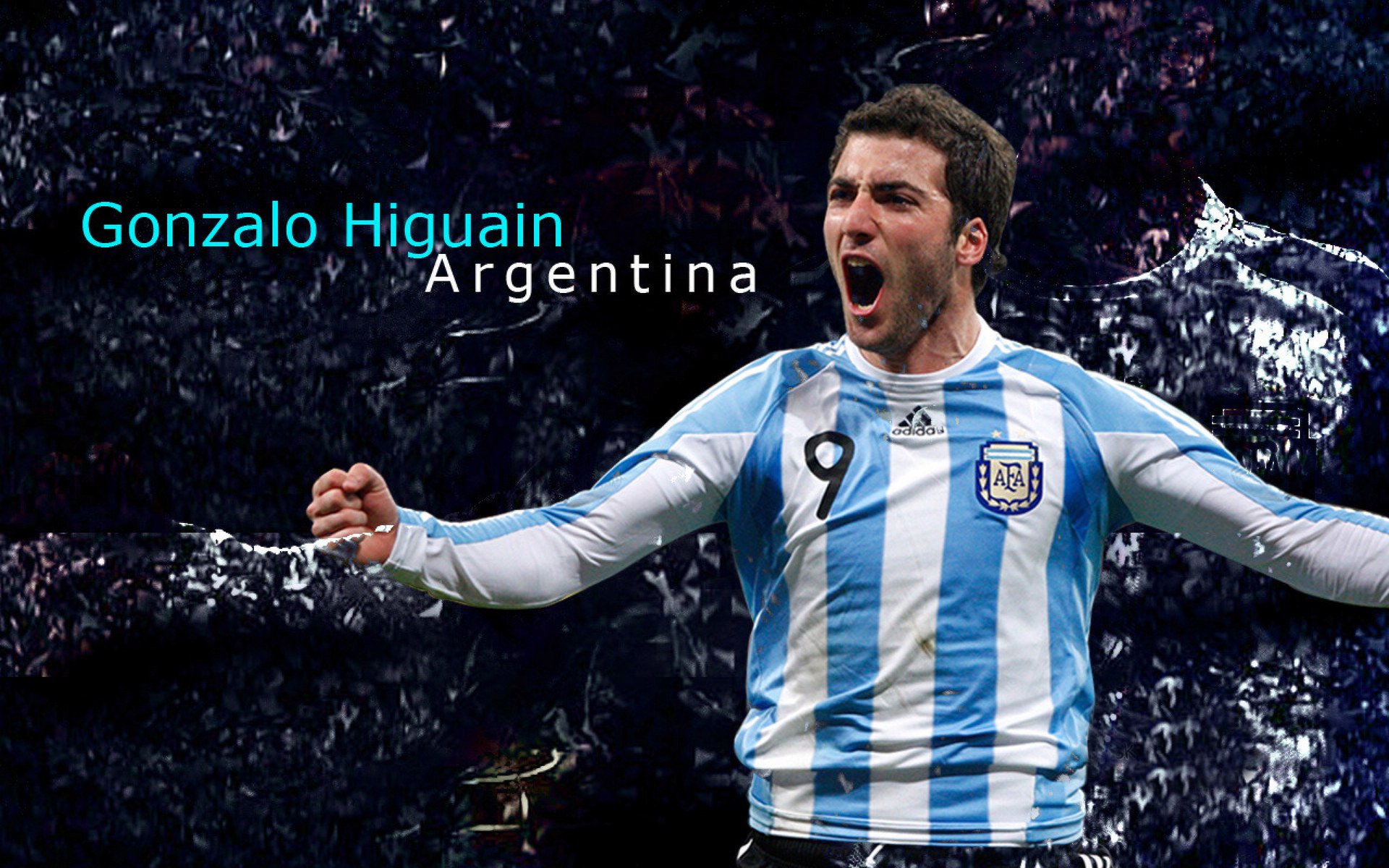 球迷行为守则全国范围内统一执行，球迷定义